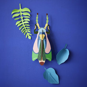 Studio Roof Sakura Beetle - Treasure Island Toys