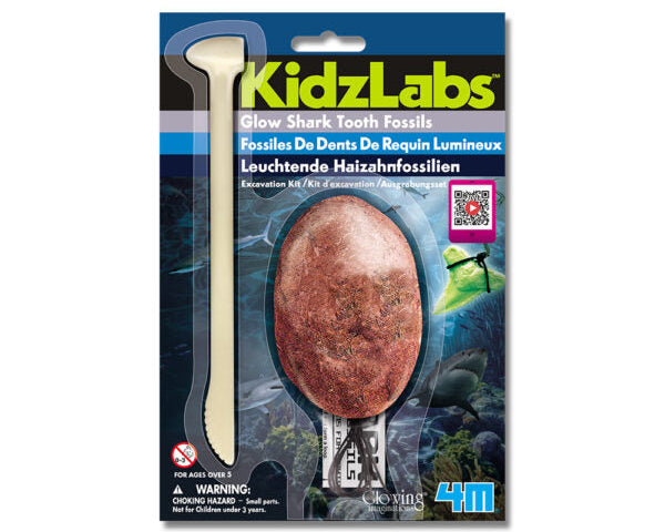 4M KidzLabs Dig a Glow Shark Tooth - Treasure Island Toys