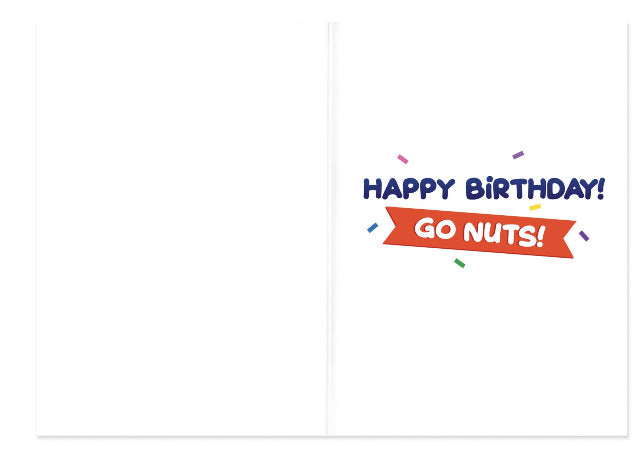 Greeting Card Birthday - Squirrel Go Nuts - Treasure Island Toys