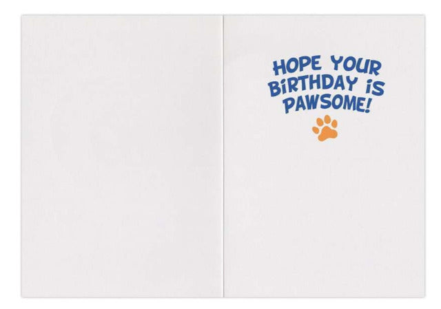 Greeting Card Birthday - Husky - Treasure Island Toys