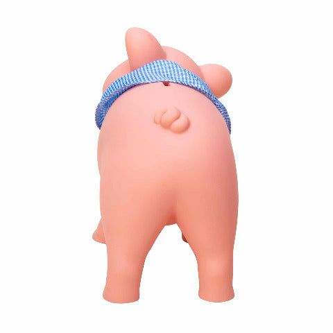 Rubber Piggy Bank - Treasure Island Toys