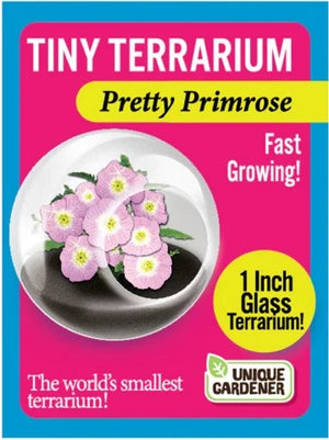 Tiny Terrariums Flowers - Treasure Island Toys