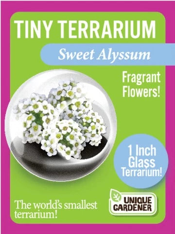 Tiny Terrariums Flowers - Treasure Island Toys