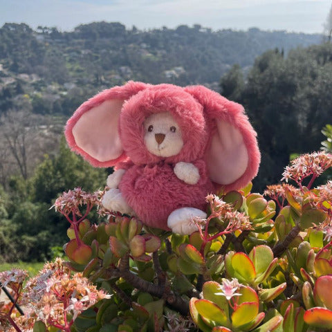 Bukowski Bears Ziggy Bunny Tulip Pink - Treasure Island Toys