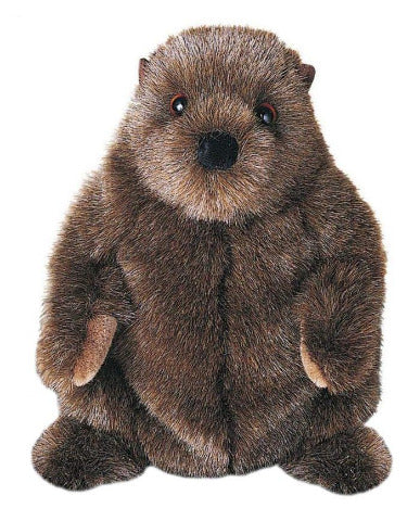 Douglas Cuddle Groundhog Chuckwood