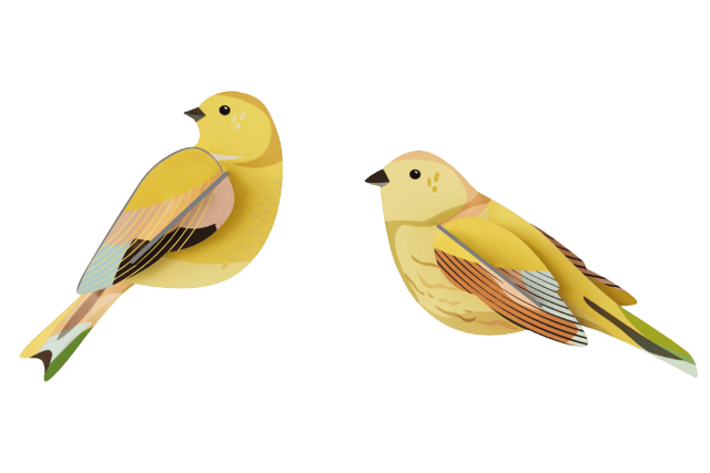 Studio Roof Citrinella Pair - Treasure Island Toys