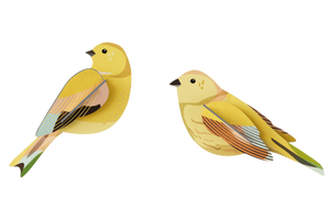Studio Roof Citrinella Pair - Treasure Island Toys