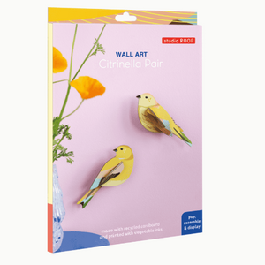 Studio Roof Citrinella Pair - Treasure Island Toys