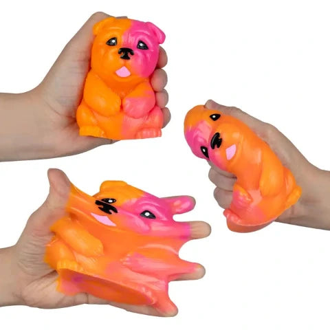 ORB Curiosities Taba-licious Pets - Treasure Island Toys