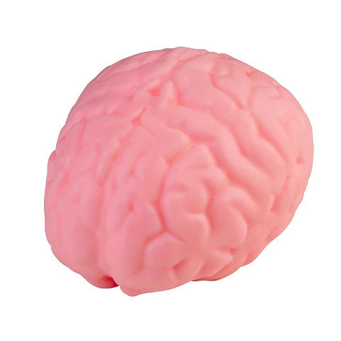 ORB Toys Easy Sqweezy Jumbo Brain - Treasure Island Toys