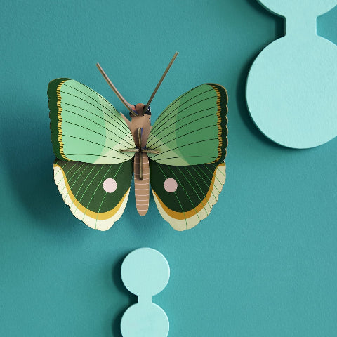 Studio Roof Fern Striped Butterfly - Treasure Island Toys