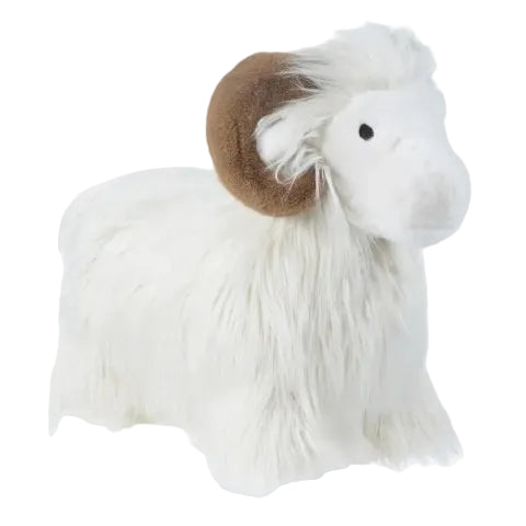 Wild & Soft Bouncy Ram