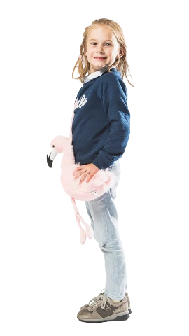 Wild & Soft Purse Flamingo - Treasure Island Toys