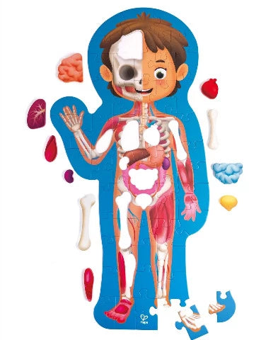 Hape Puzzle Human Body - Treasure Island Toys