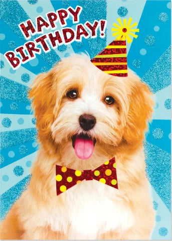 Greeting Card Birthday - Birthday Dog - Treasure Island Toys