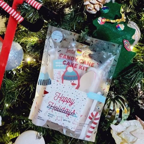 InstaCake Holiday Cake Kit, Candy Cane - Treasure Island Toys