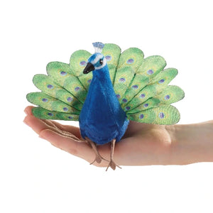 Folkmanis Finger Puppet - Peacock - Treasure Island Toys