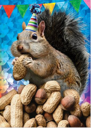 Greeting Card Birthday - Squirrel Go Nuts