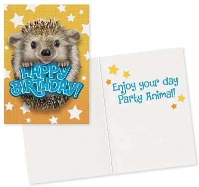 Greeting Card Birthday - Hedgehog Photo - Treasure Island Toys