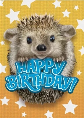 Greeting Card Birthday - Hedgehog Photo - Treasure Island Toys
