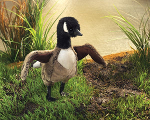 Folkmanis Puppet - Canada Goose - Treasure Island Toys