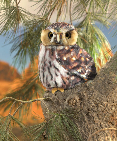 Folkmanis Puppet - Pygmy Owl - Treasure Island Toys