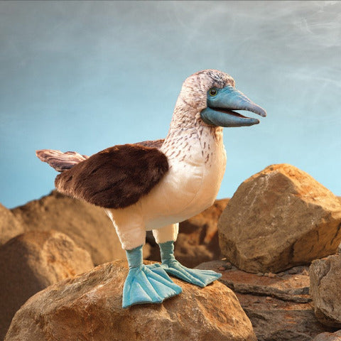 Folkmanis Puppet - Blue Footed Boobie - Treasure Island Toys