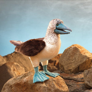 Folkmanis Puppet - Blue Footed Boobie - Treasure Island Toys