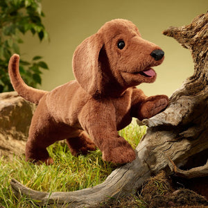 Folkmanis Puppet - Dachshund