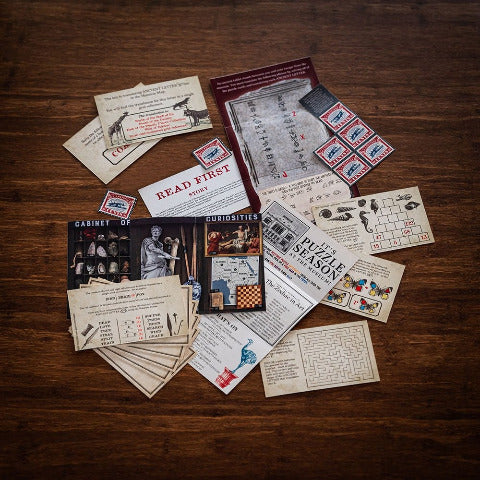 Professor Puzzle Games Escape From the Museum - Treasure Island Toys