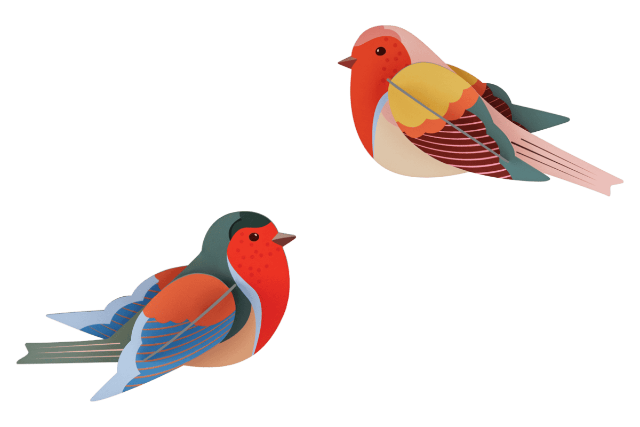 Studio Roof Robins - Treasure Island Toys