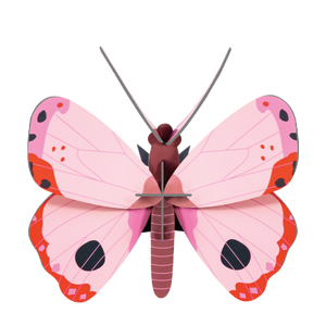 Studio Roof Rosora Butterfly - Treasure Island Toys