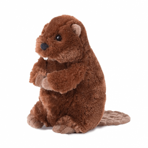 Douglas Cuddle Beaver Buddy - Treasure Island Toys