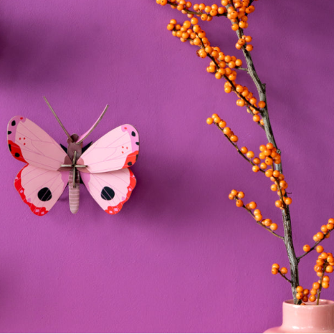 Studio Roof Rosora Butterfly - Treasure Island Toys