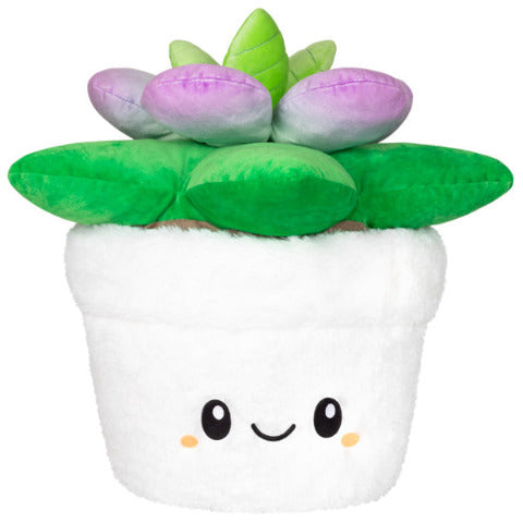 Squishable Succulent - Treasure Island Toys