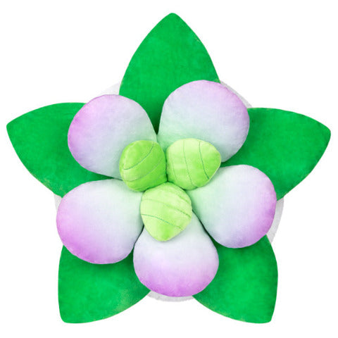 Squishable Succulent - Treasure Island Toys