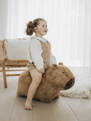 Wild & Soft Bouncy Capybara - Treasure Island Toys