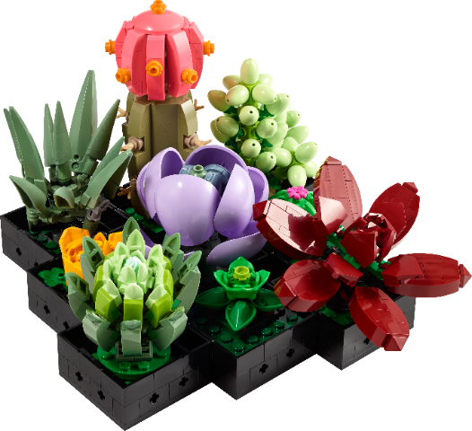 LEGO Icons Succulents - Treasure Island Toys