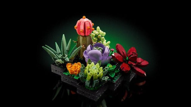 LEGO Icons Succulents - Treasure Island Toys