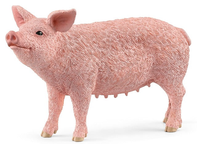 Schleich Pig - Treasure Island Toys
