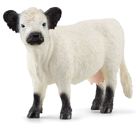 Schleich Galloway Cattle - Treasure Island Toys