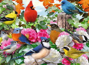 Ravensburger Puzzle 500 Piece, Garden Birds - Treasure Island Toys