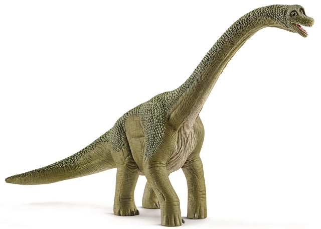 Schleich Dinosaur Brachiosaurus - Treasure Island Toys