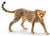 Schleich Cheetah Female - Treasure Island Toys