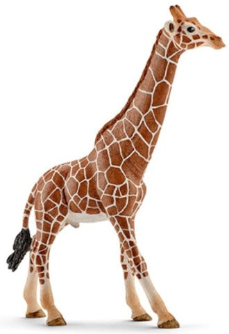 Schleich Giraffe, Male - Treasure Island Toys