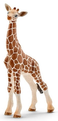 Schleich Giraffe, Calf - Treasure Island Toys