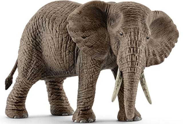 Schleich African Elephant, Cow - Treasure Island Toys