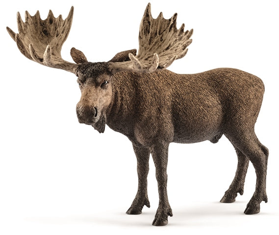 Schleich Moose Bull - Treasure Island Toys