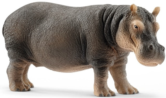 Schleich Hippopotamus - Treasure Island Toys