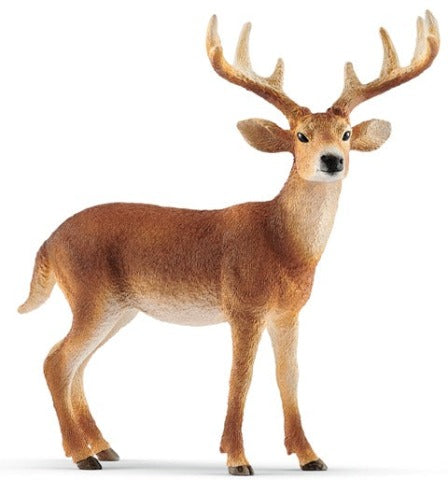 Schleich White-tailed Buck - Treasure Island Toys